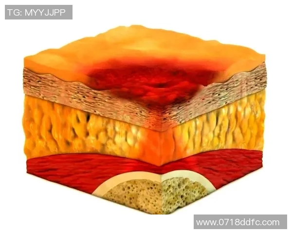 科学排球训练新方法提升速度与反应能力的全面指南 科学排球训练新方法提升速度与反应能力的全面指南
