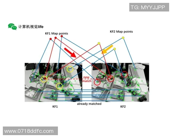 独家分析：南京攀岩队的战术对比