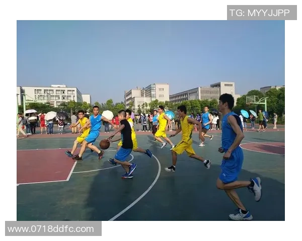 陈敏独家:分享篮球心得 陈敏独家:分享篮球心得